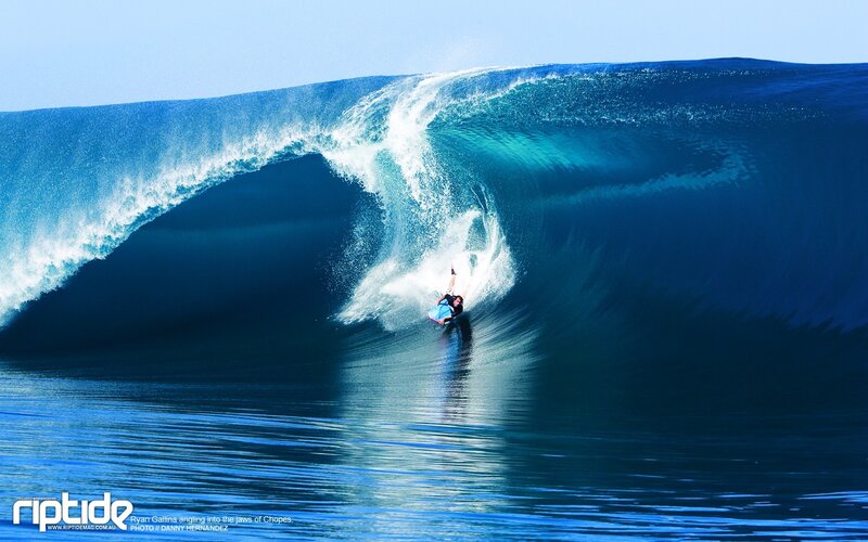 Surfer in a large wave