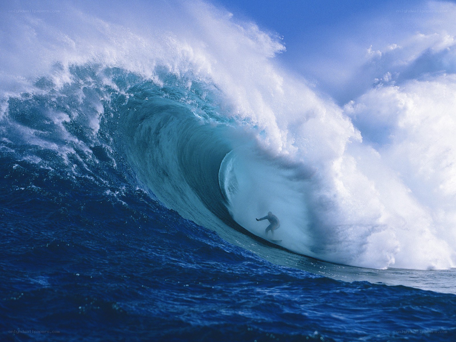 Surfer in a large wave