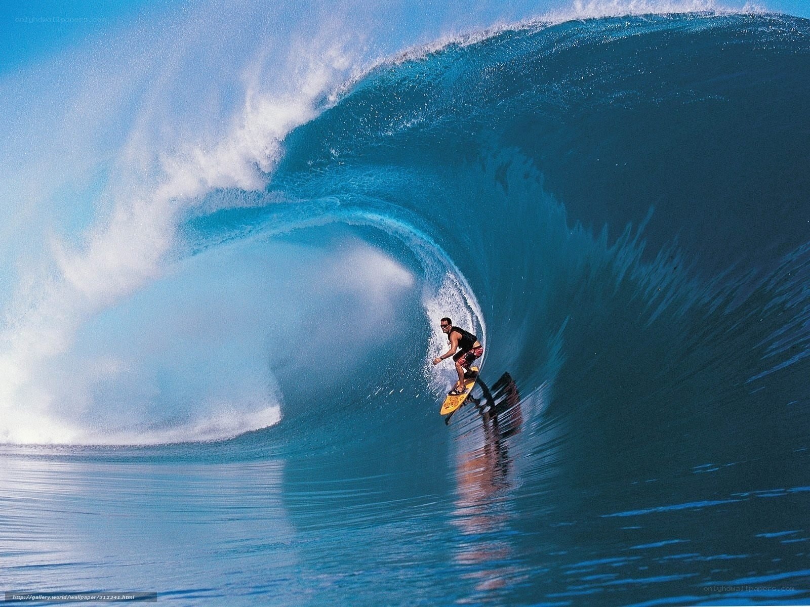Surfer in a large wave
