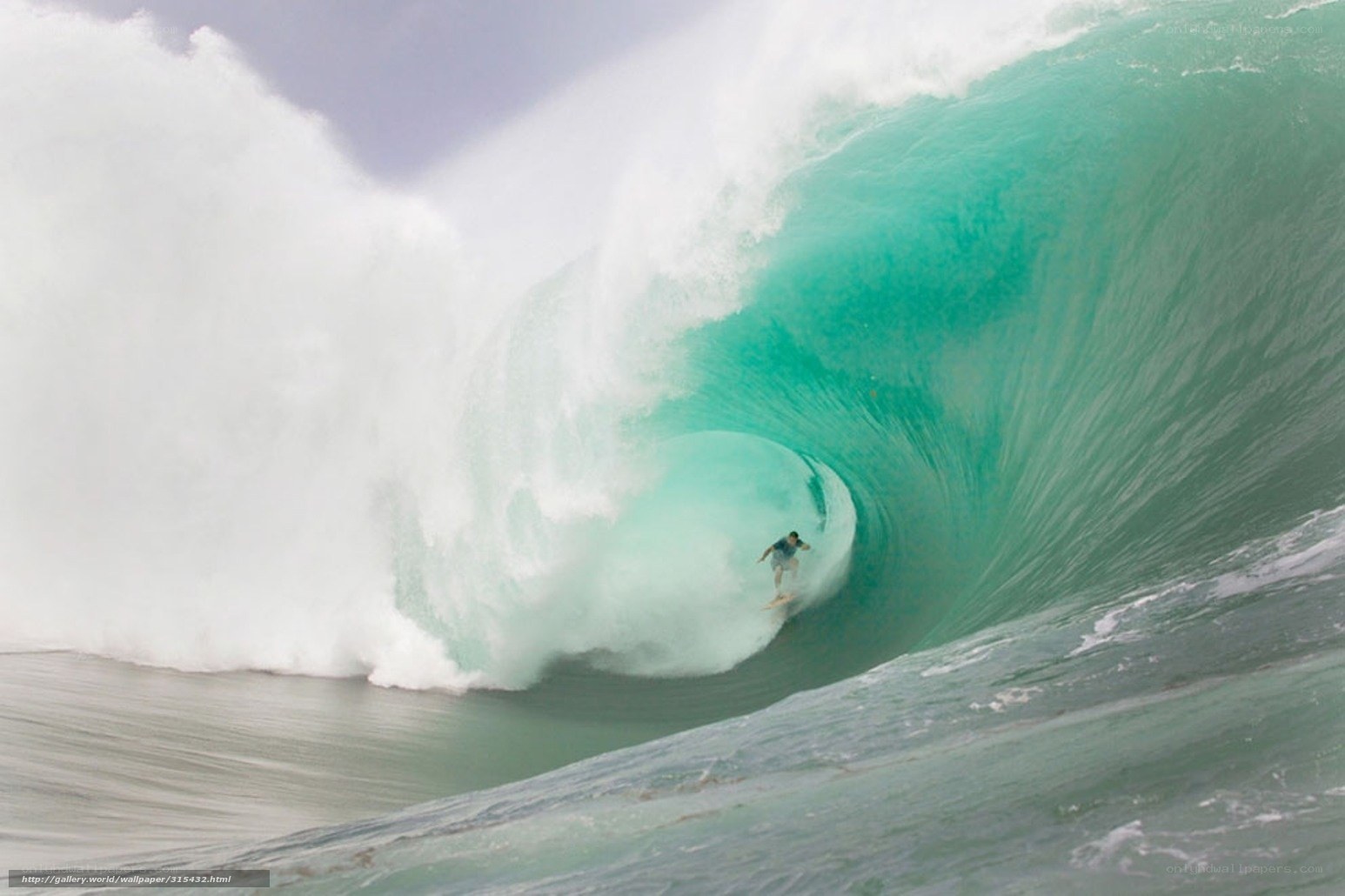 Surfer in a large wave