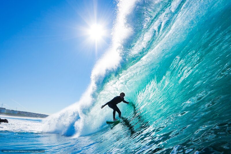 Surfer in a large wave