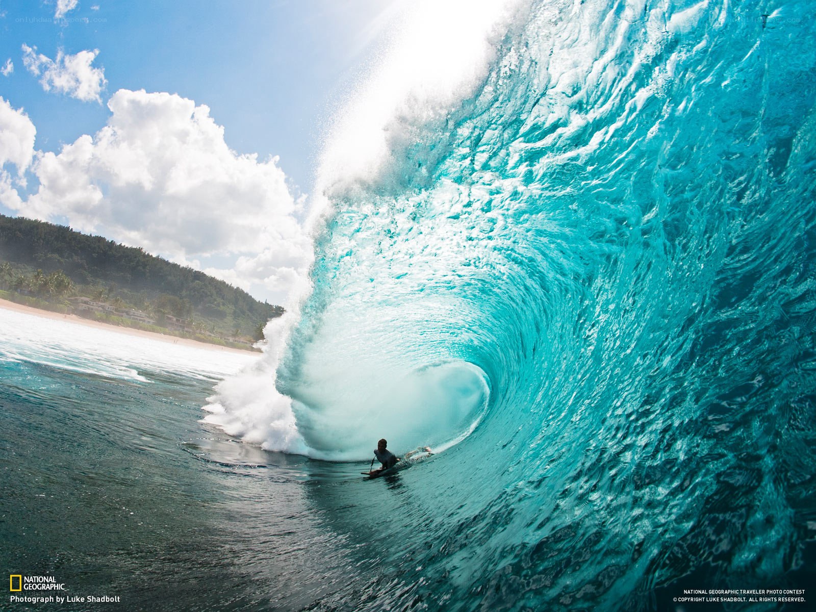 Surfer in a large wave