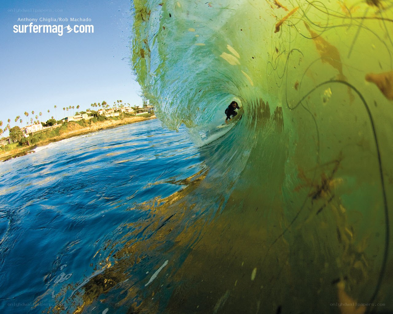 surfer in a wave tunnel