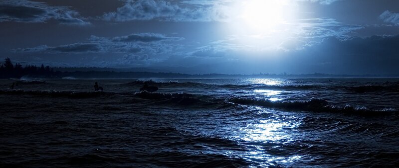 Surfer in Ocean at Night