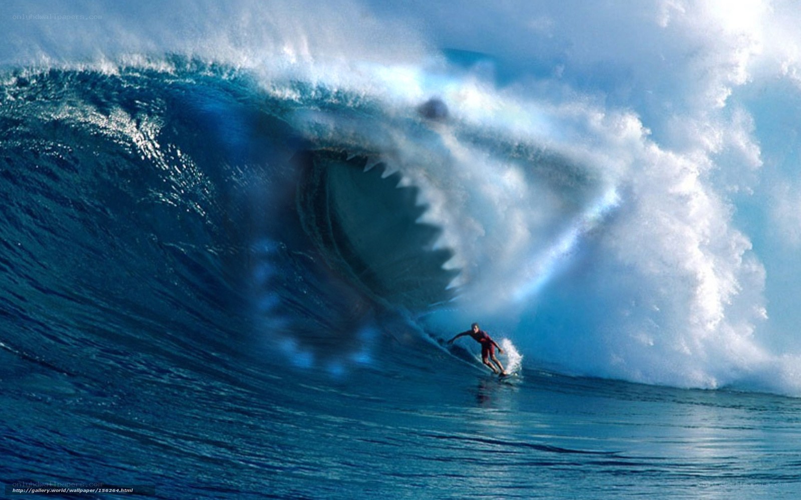 Surfer in shark wave
