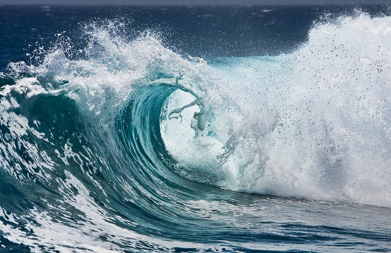 Surfer in Wave Barrel