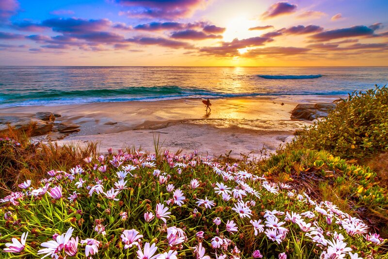 Surfer on Beach at Sunset — Purple, Serene