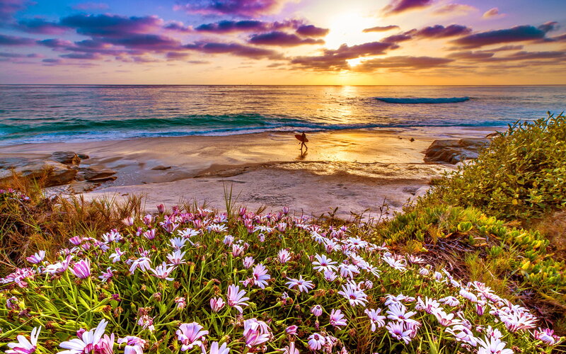 Surfer on Beach at Sunset — Purple