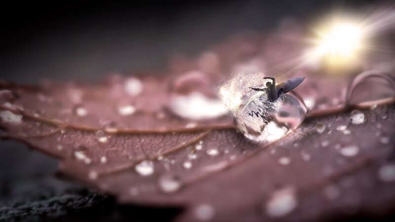 Surfer on Leaf