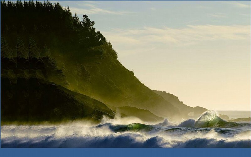 Surfer on Ocean Wave — Green