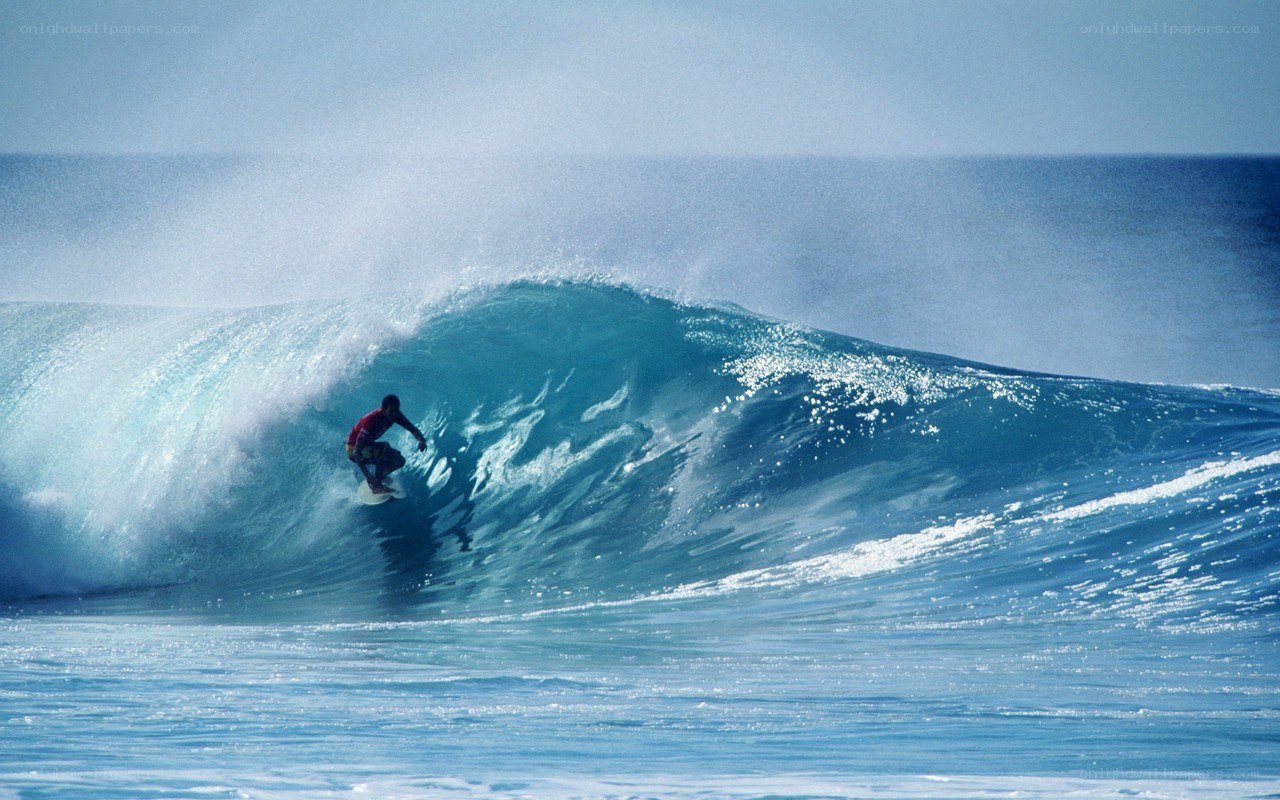 Surfer riding a large wave