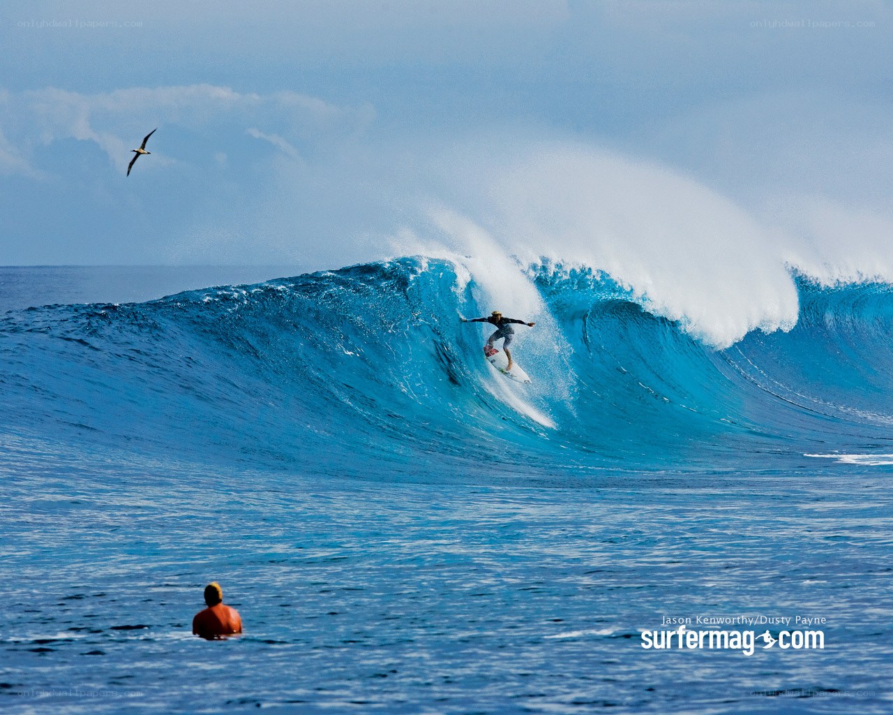 Surfer riding a large wave