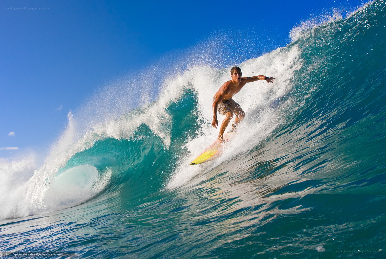 Surfer riding a large wave