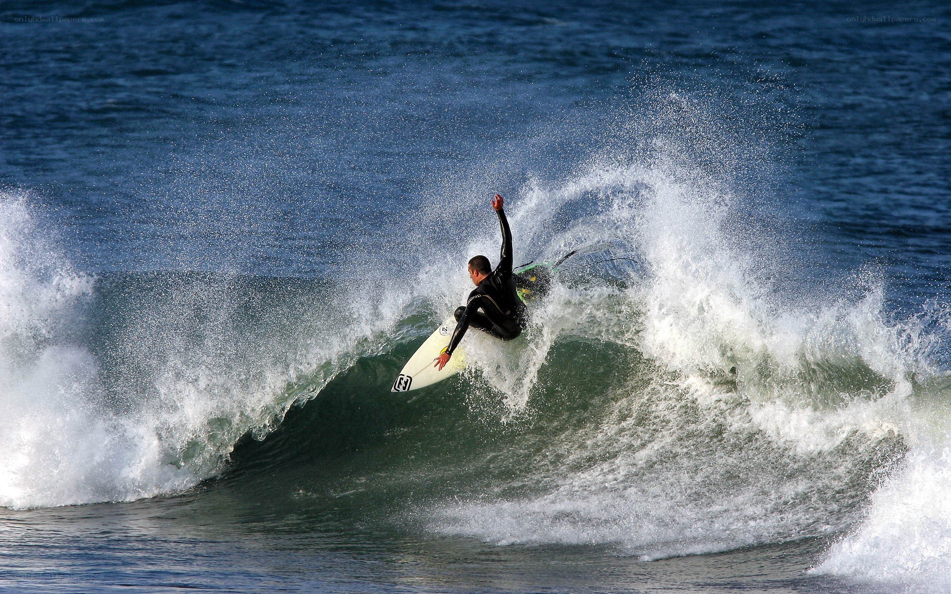 Surfer riding a wave
