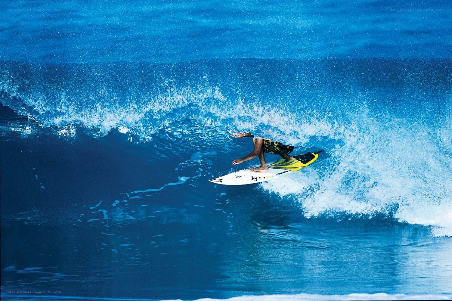 Surfer riding a wave