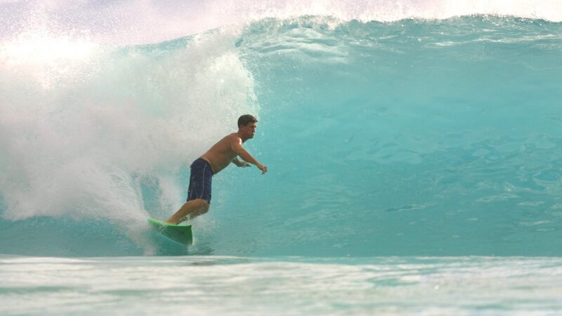 Surfer riding a wave