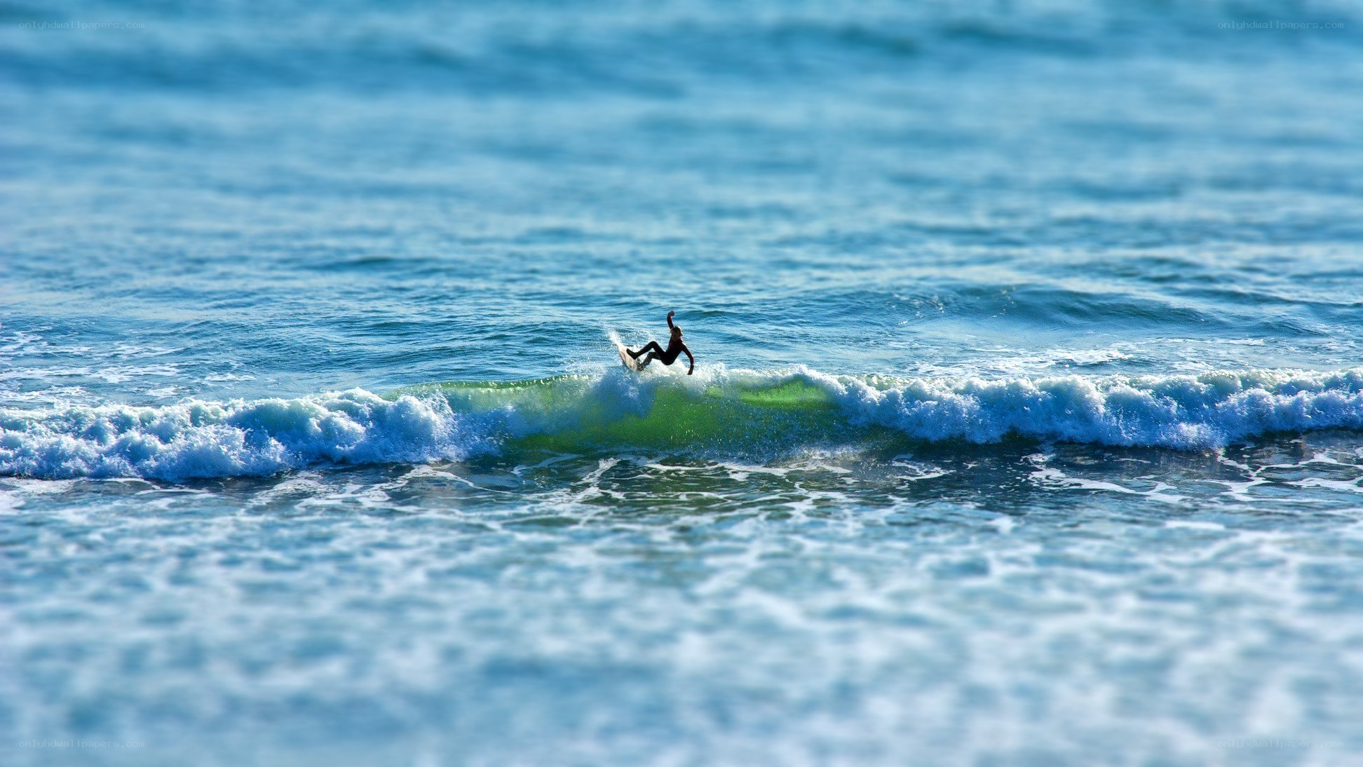 Surfer riding a wave