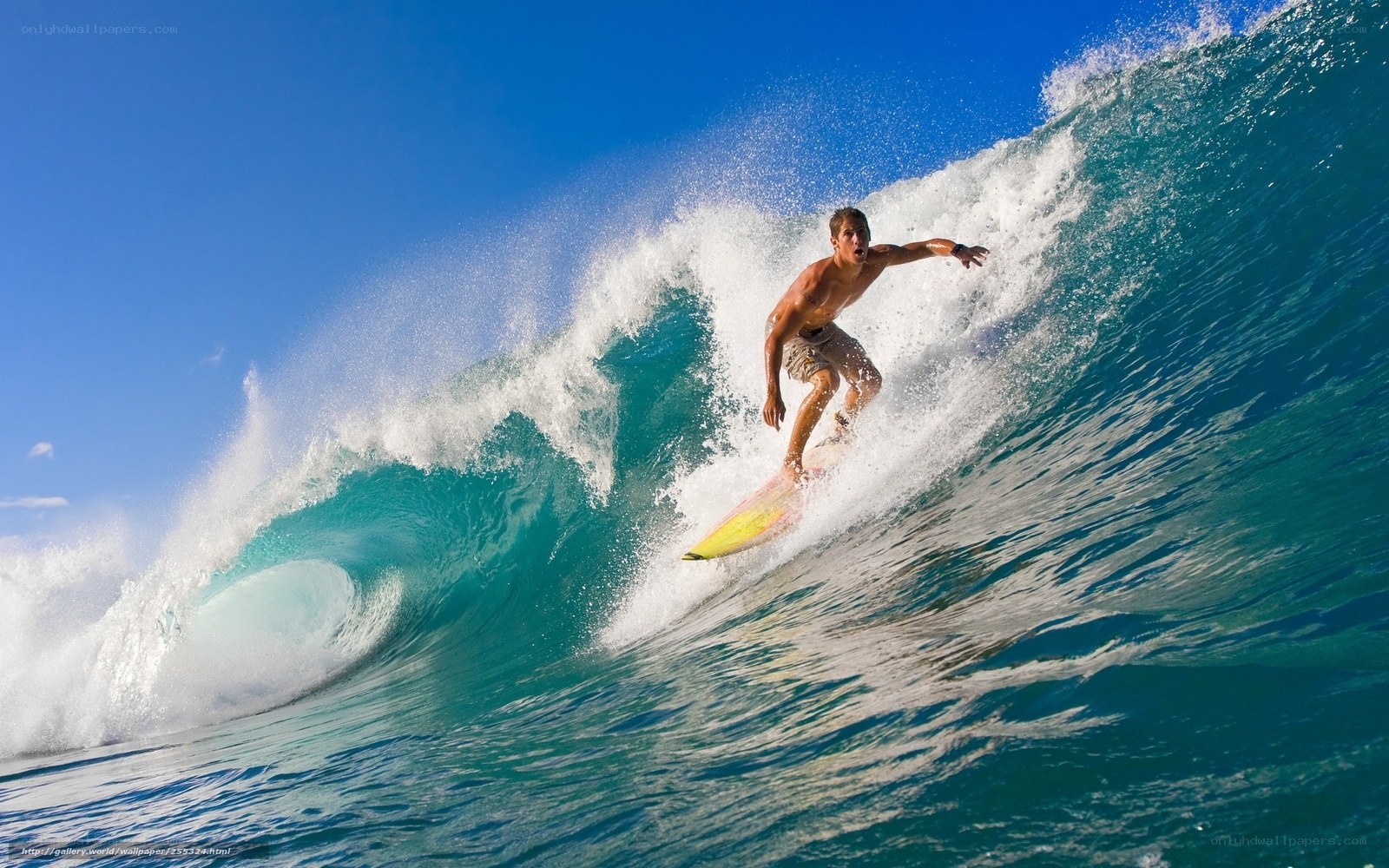 Surfer riding a wave