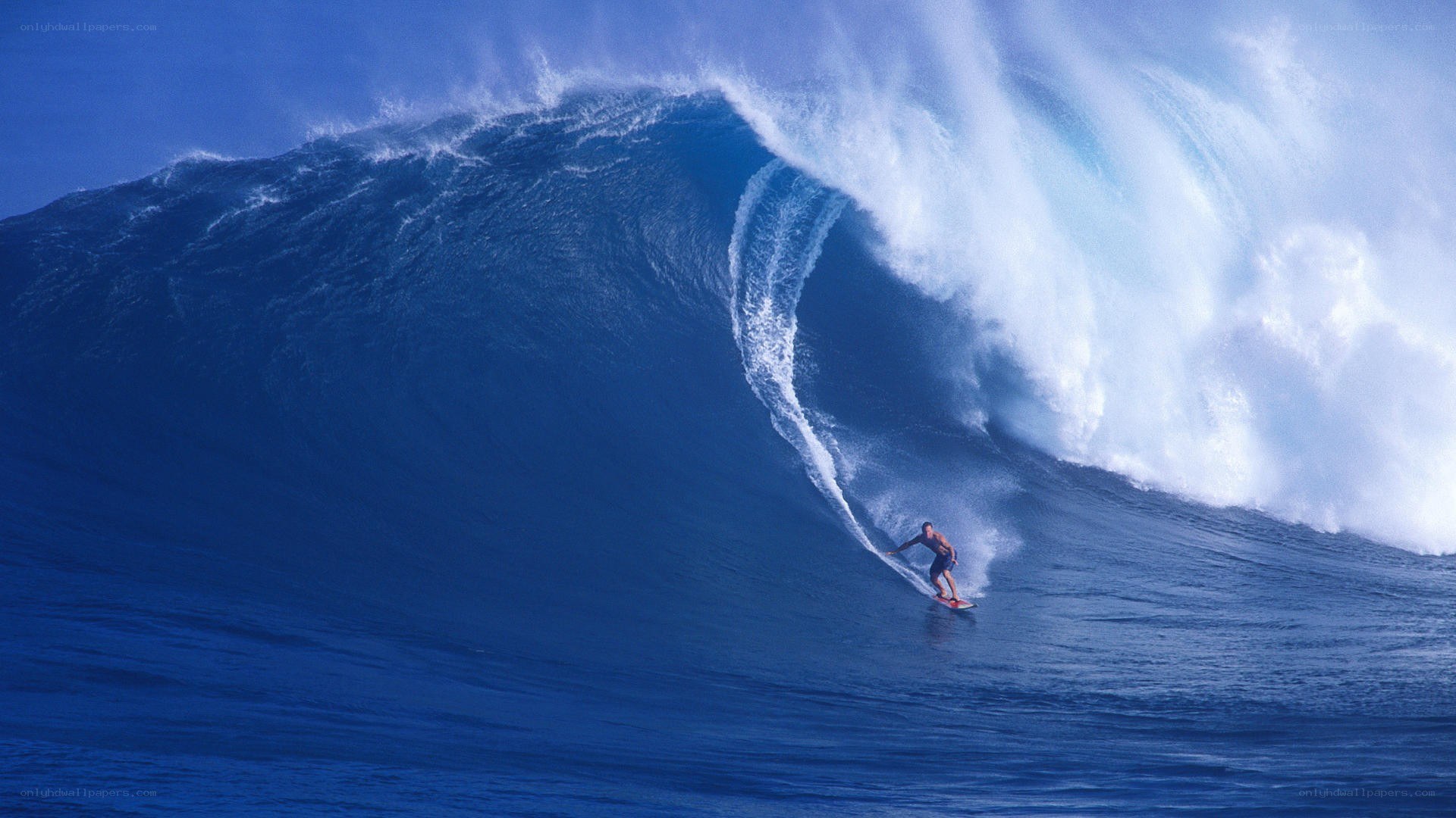 Surfer riding large ocean wave