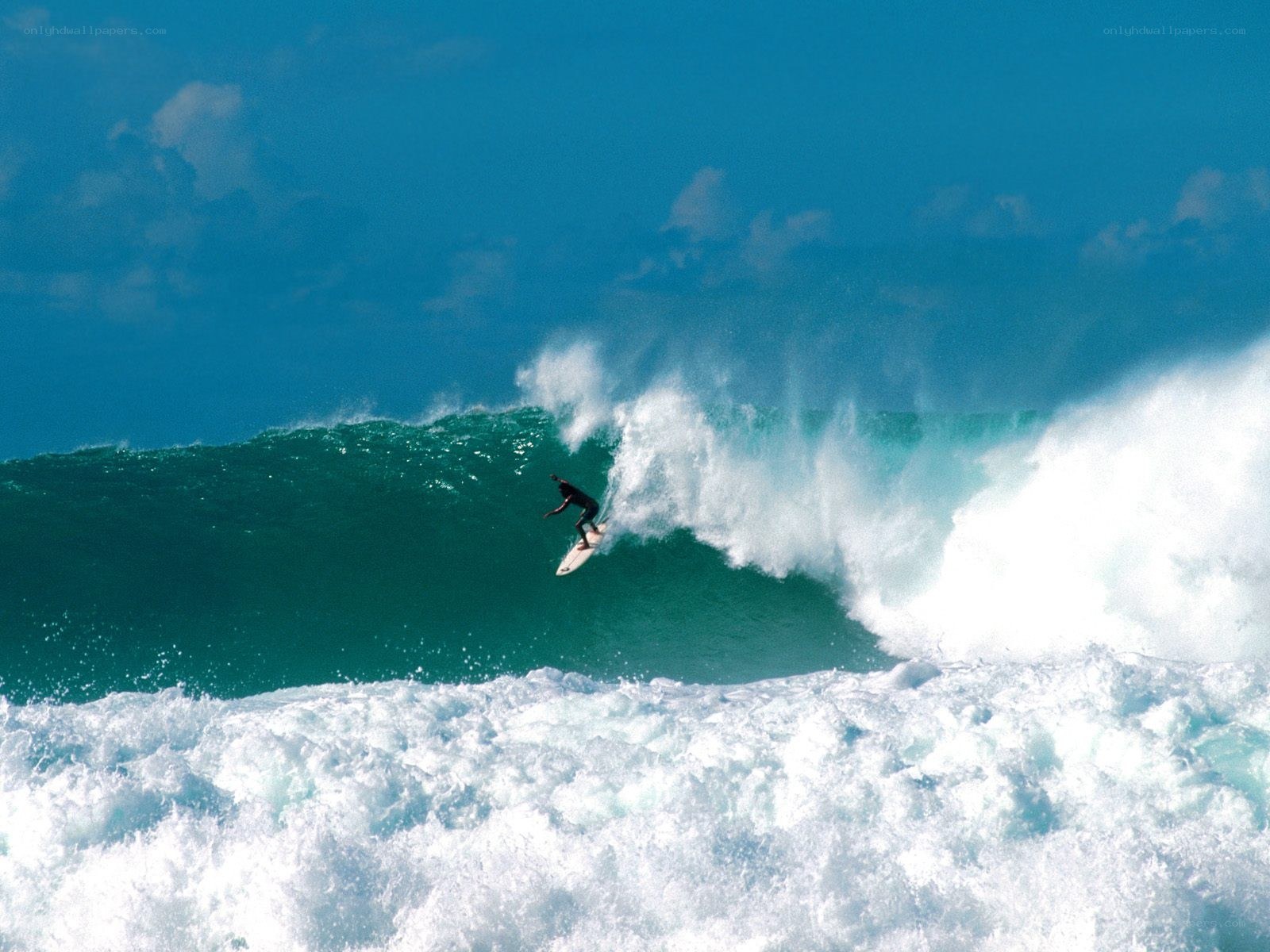 Surfer riding large ocean wave