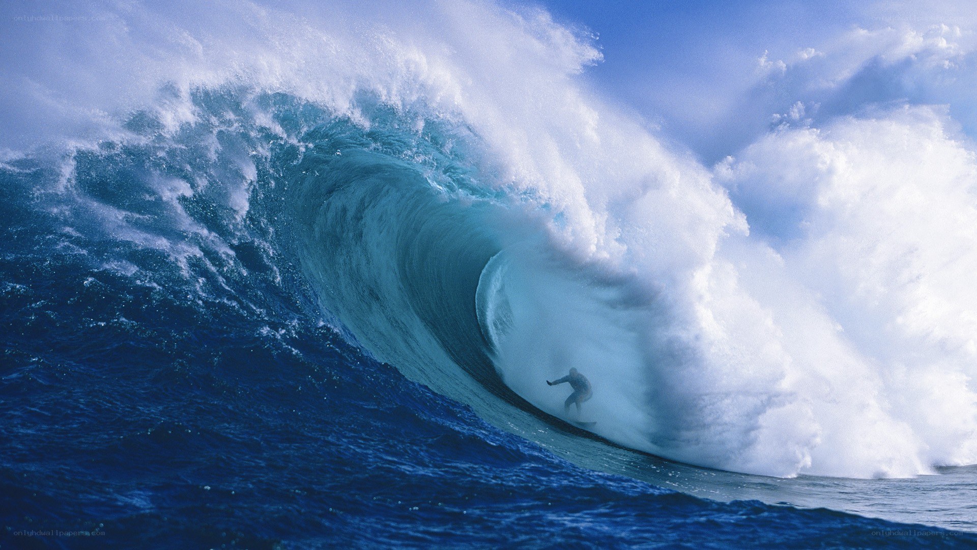 Surfer riding large ocean wave