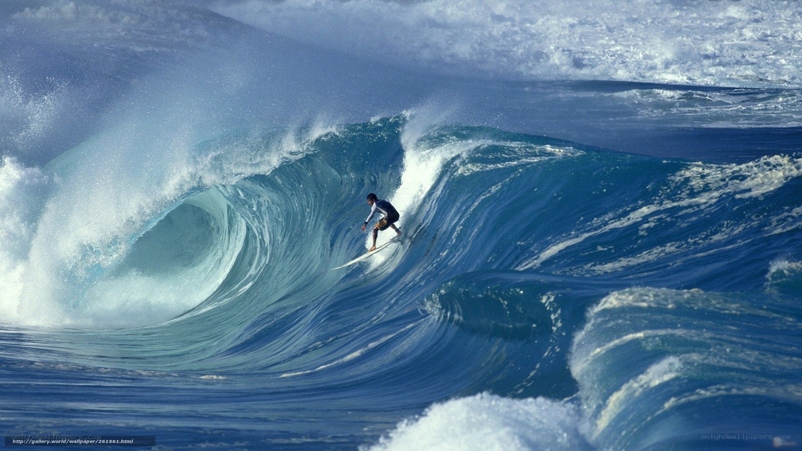 Surfer riding large ocean wave