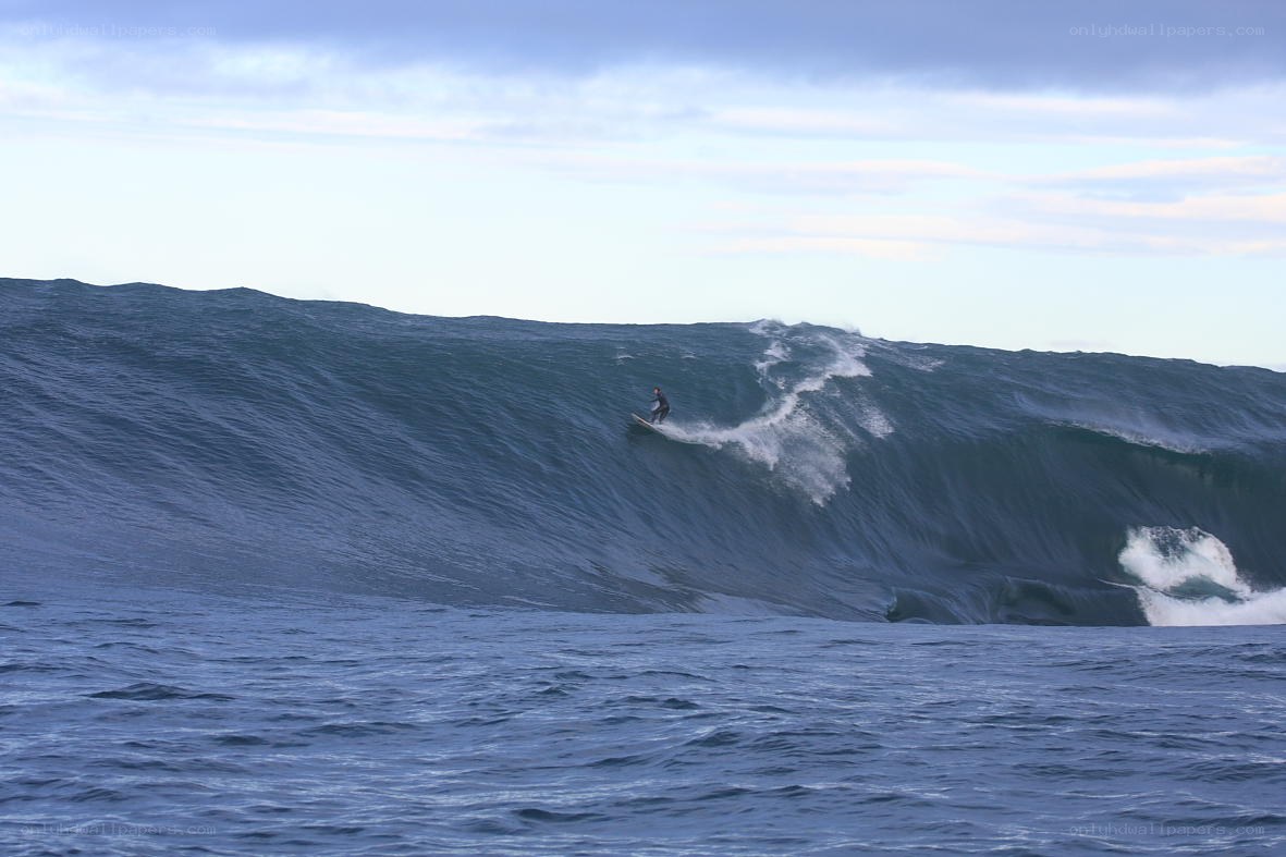 Surfer riding large wave