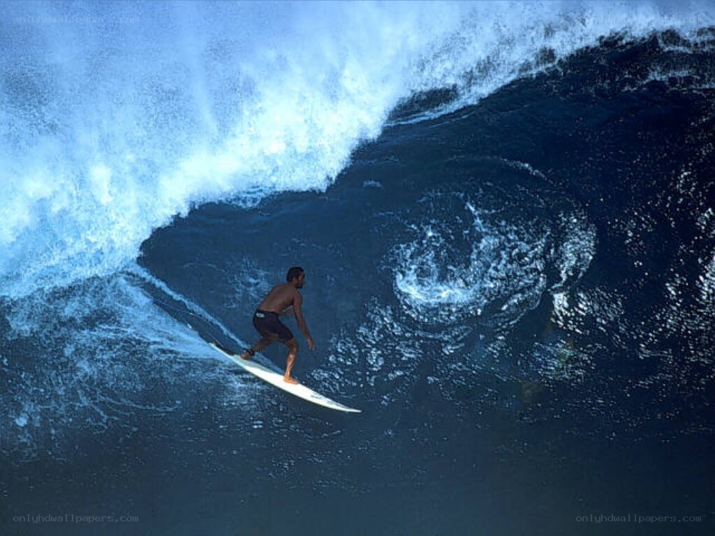 Surfer riding large wave