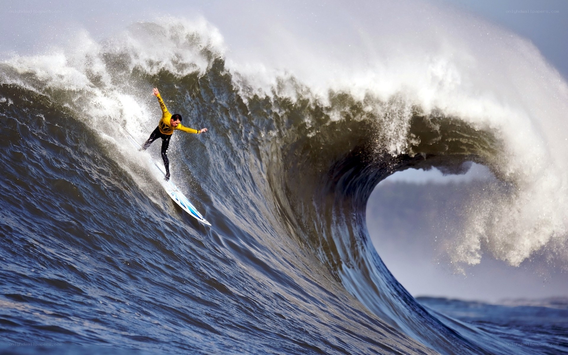 Surfer riding large wave