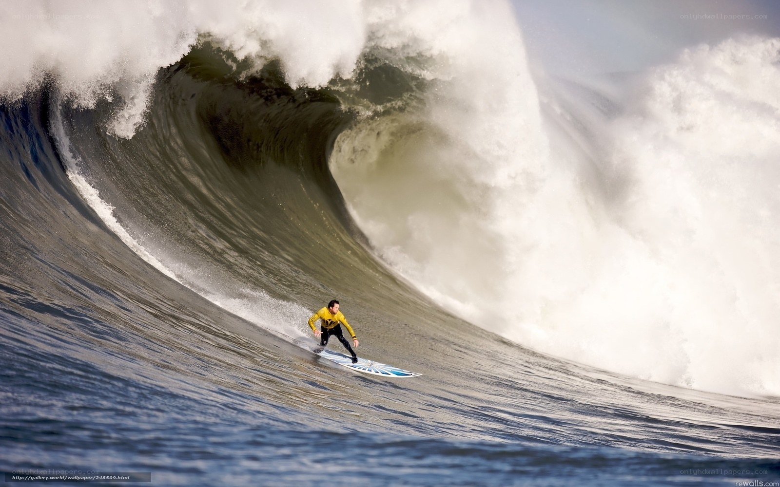 Surfer riding large wave