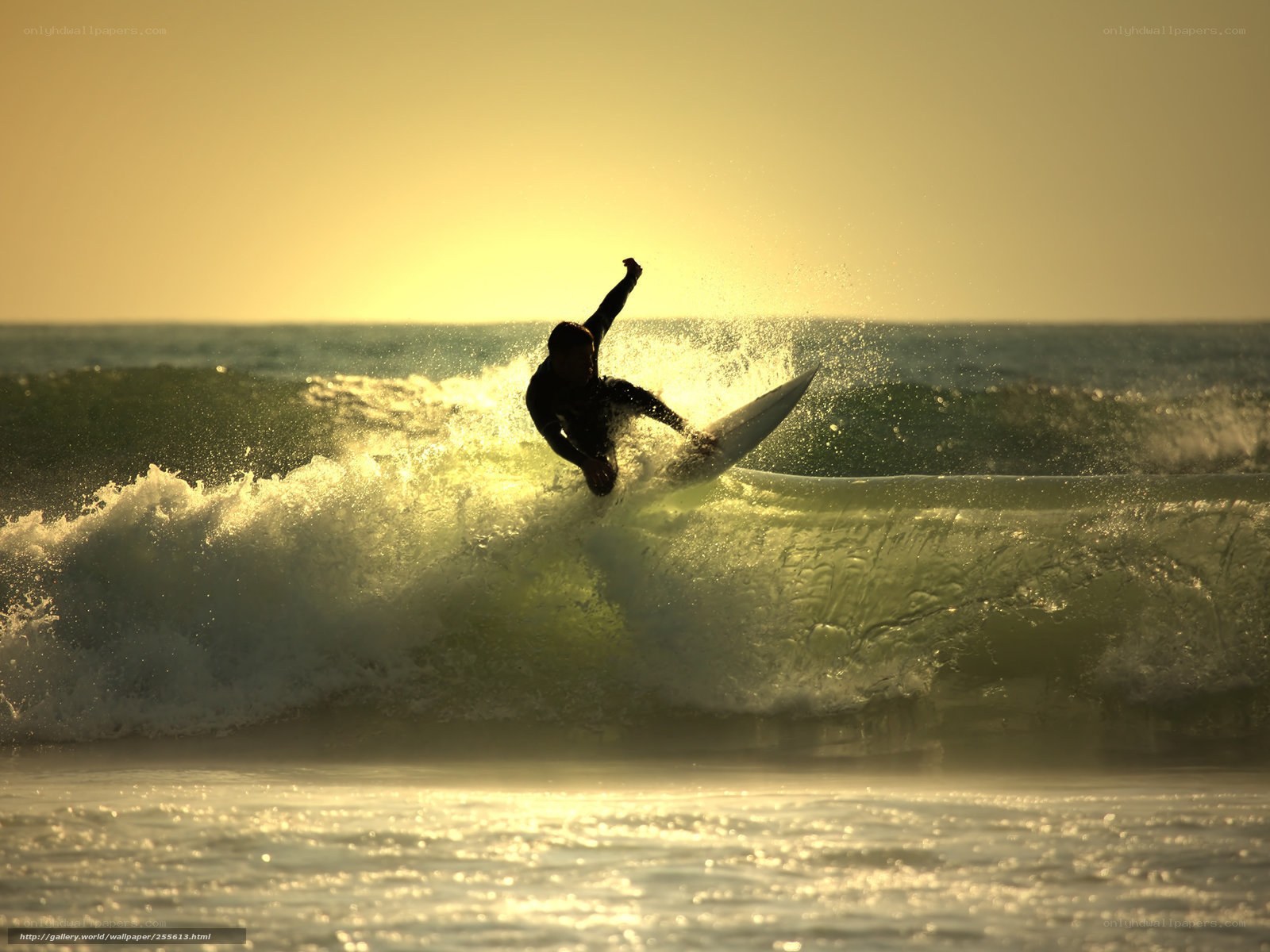 Surfer riding wave at sunset