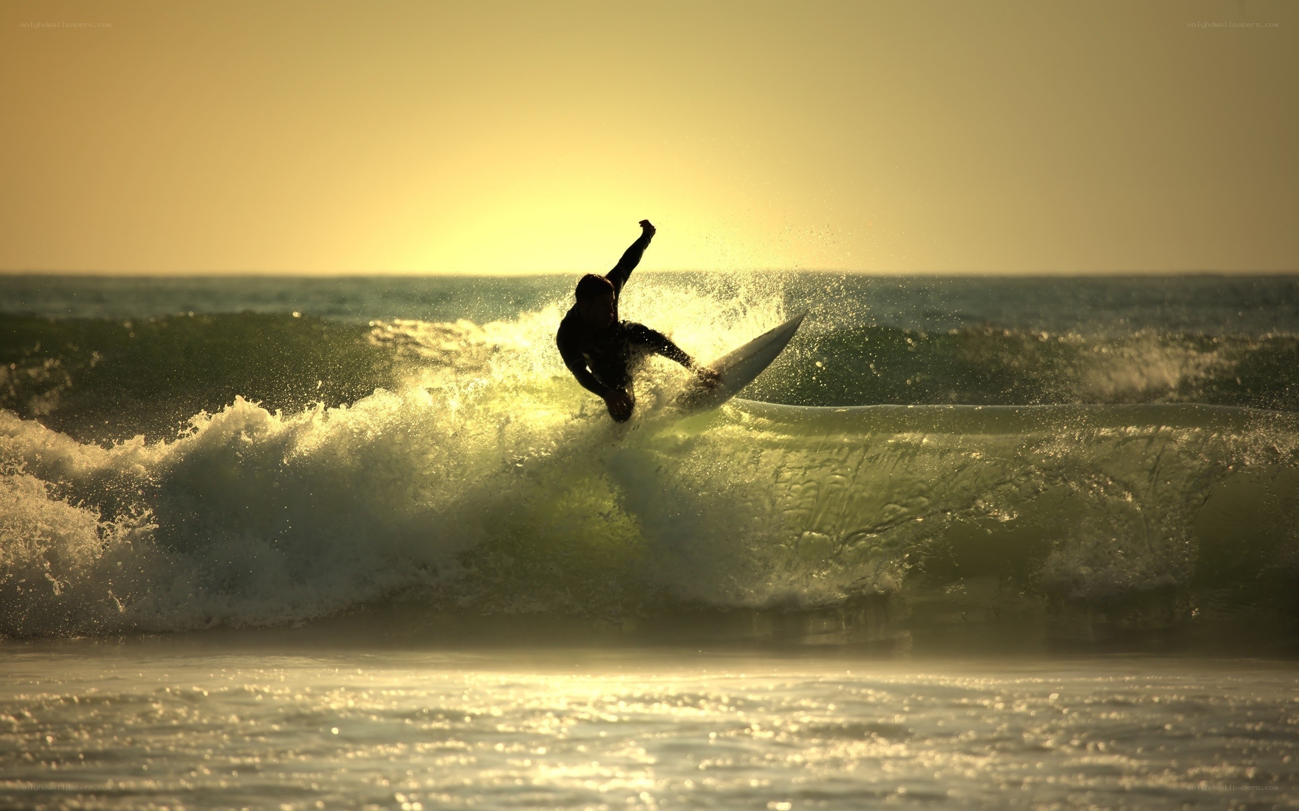 surfer riding wave at sunset