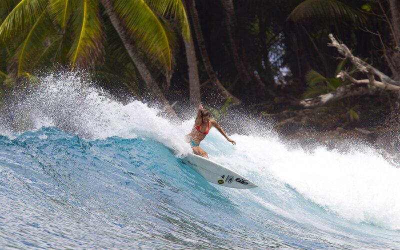 Surfer riding wave in tropical setting