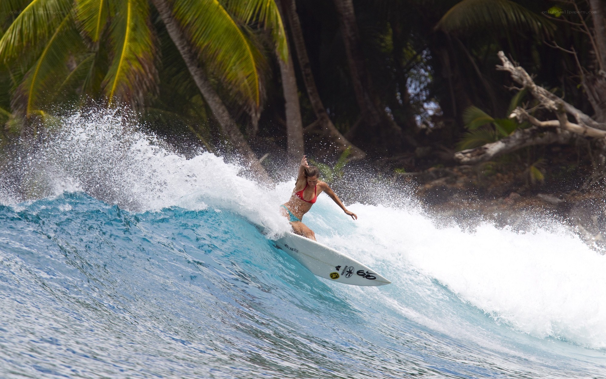 Surfer riding wave in tropical setting