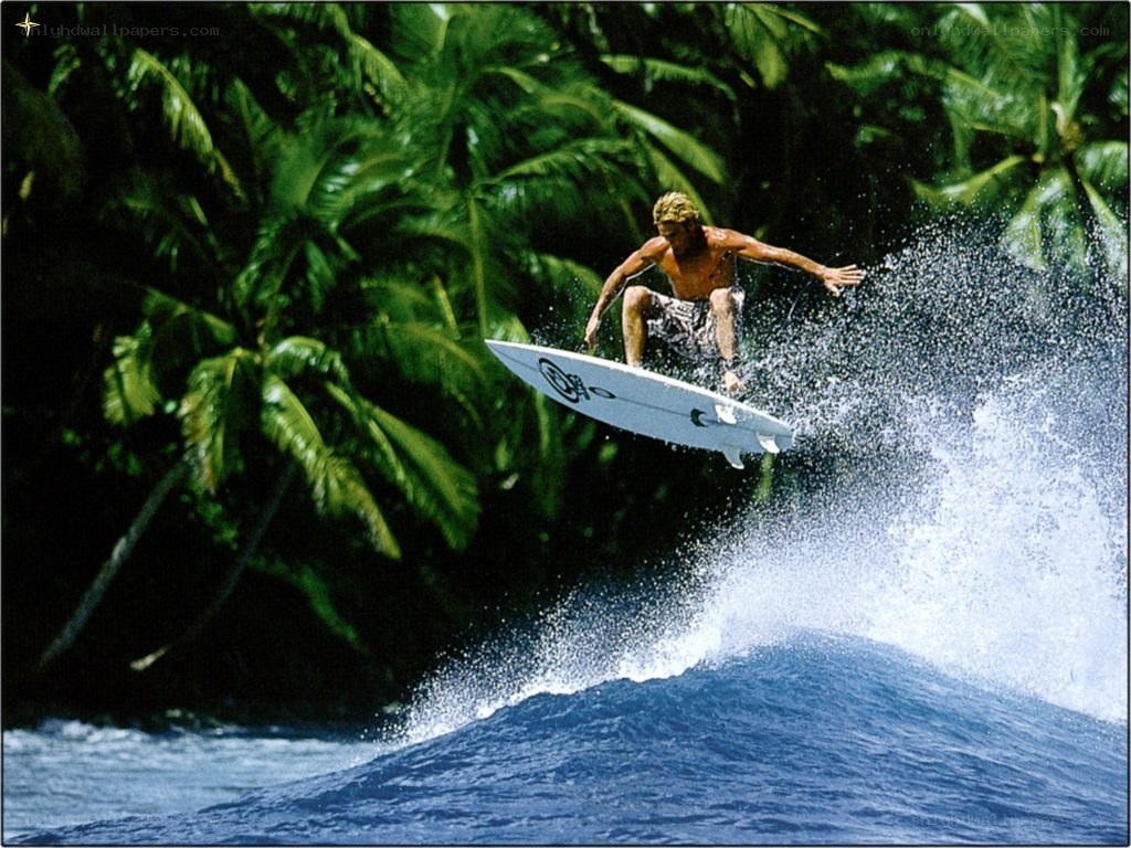 Surfer riding wave near palm trees