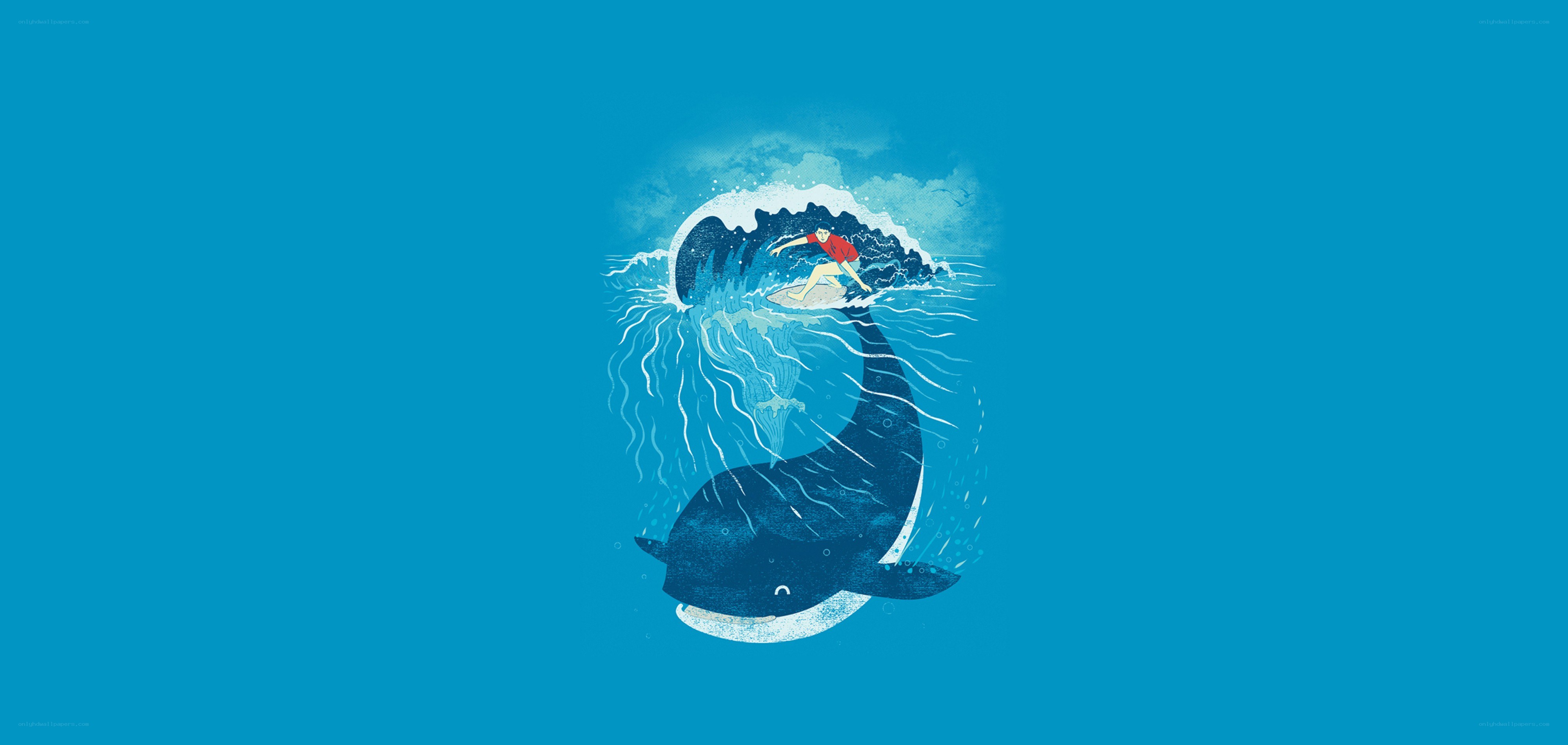 surfer riding whale wave