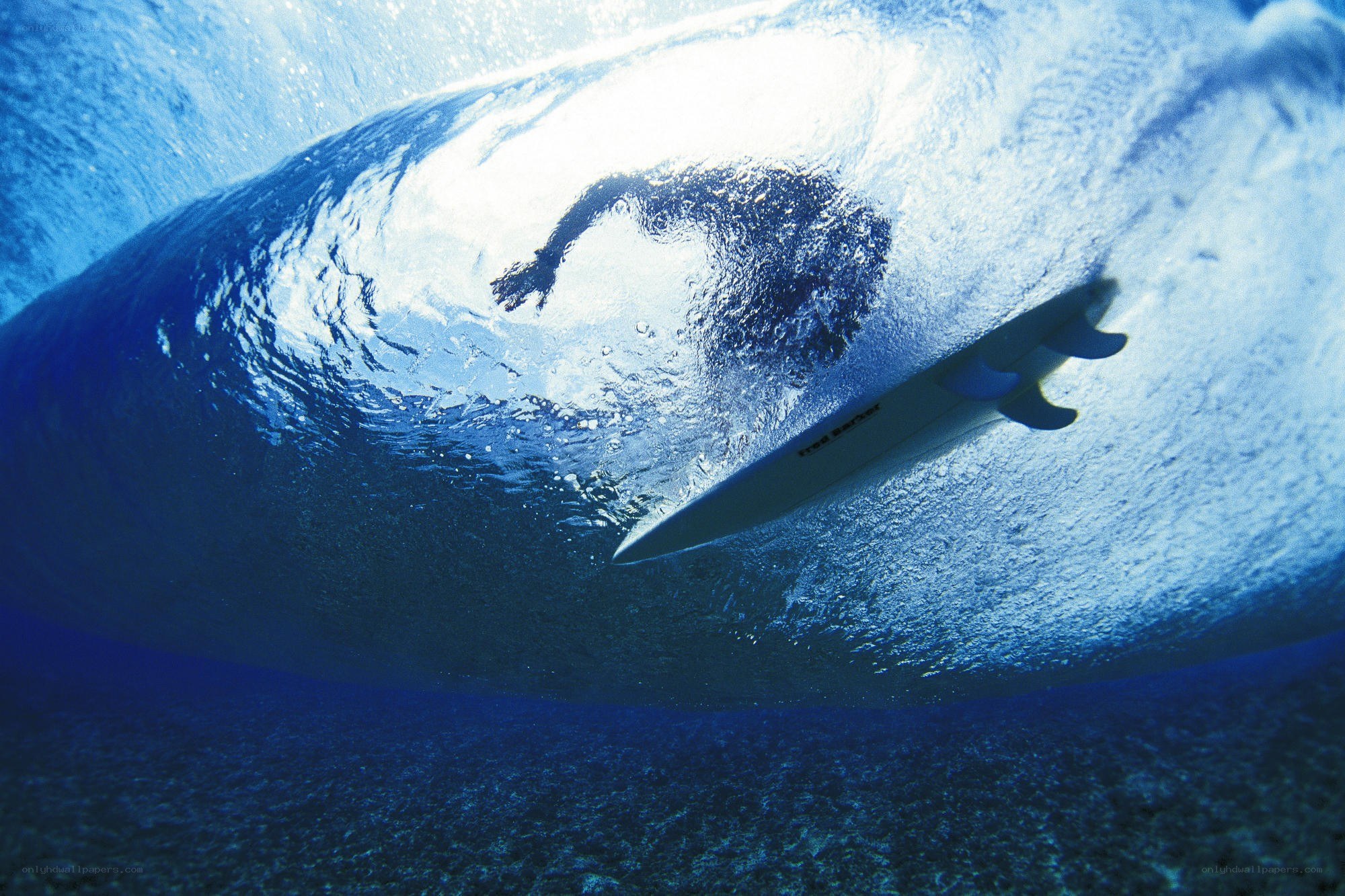 Surfer under a wave