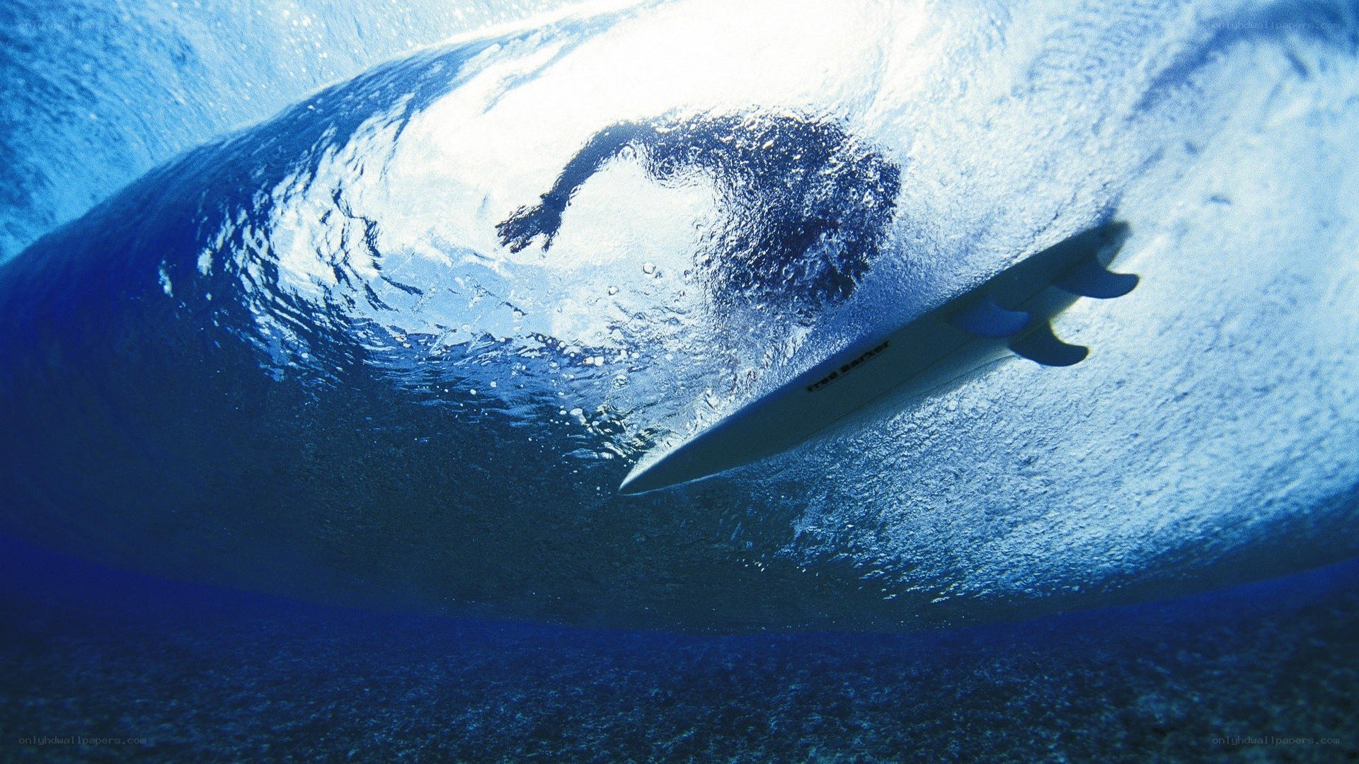 surfer under a wave