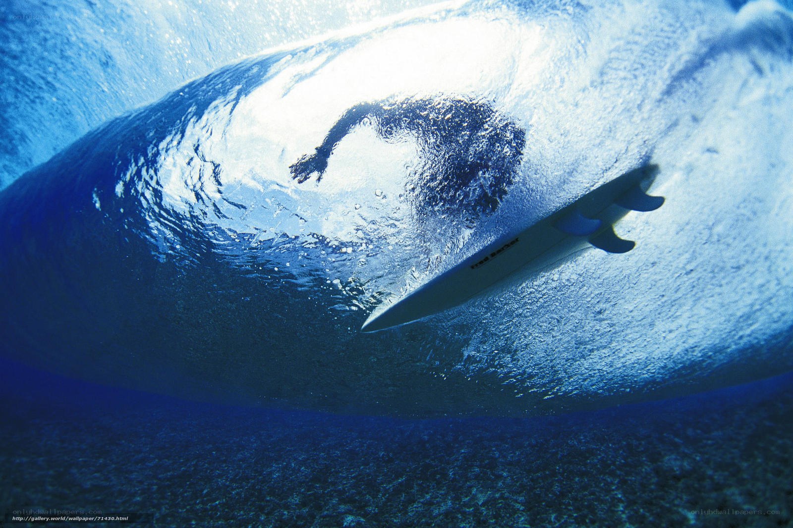 Surfer under a wave