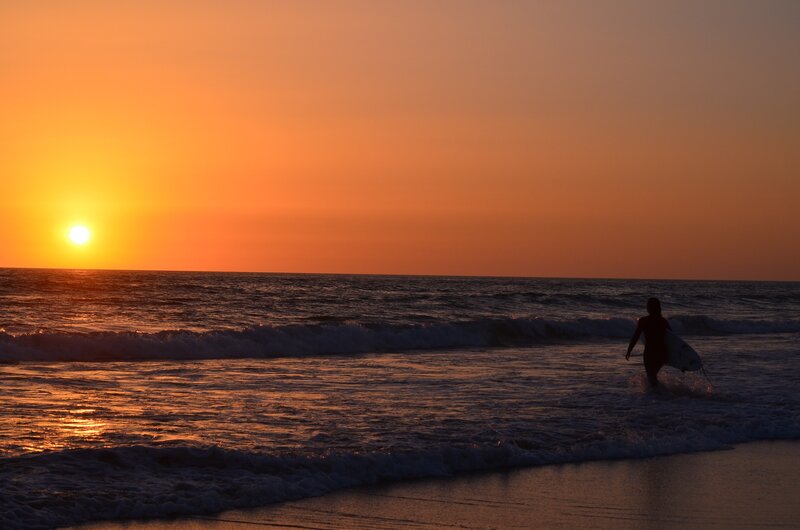 Surfer Walking into Ocean — Orange