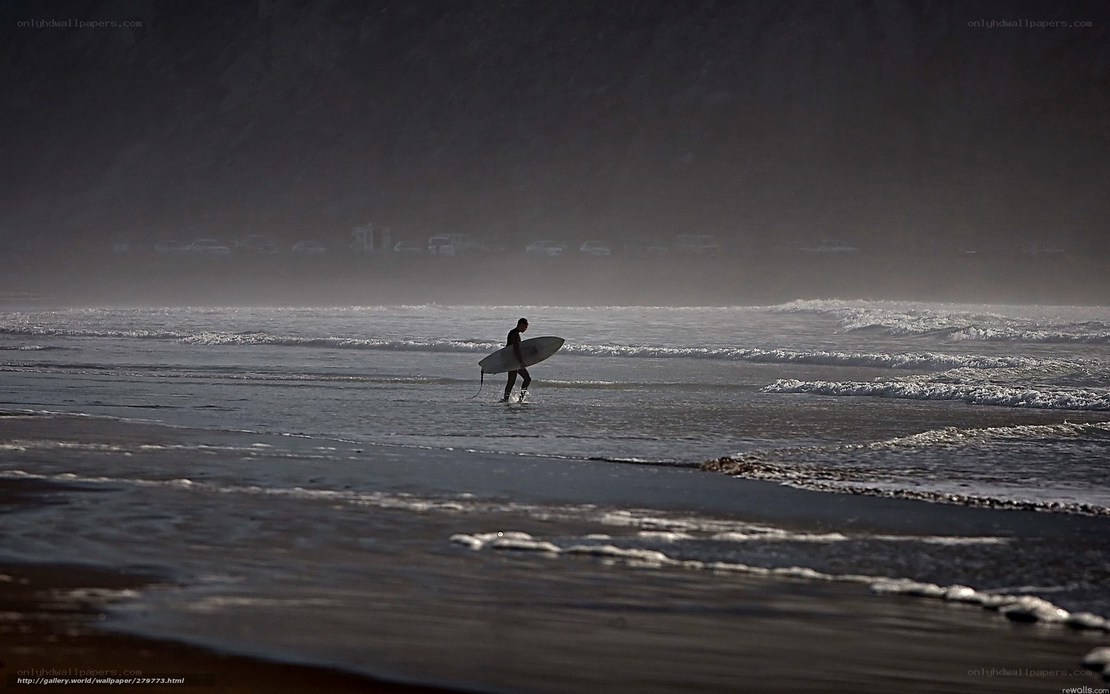 Surfer walking on beach