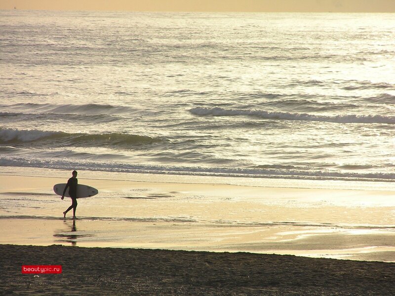 Surfer Walking on Beach — Gold