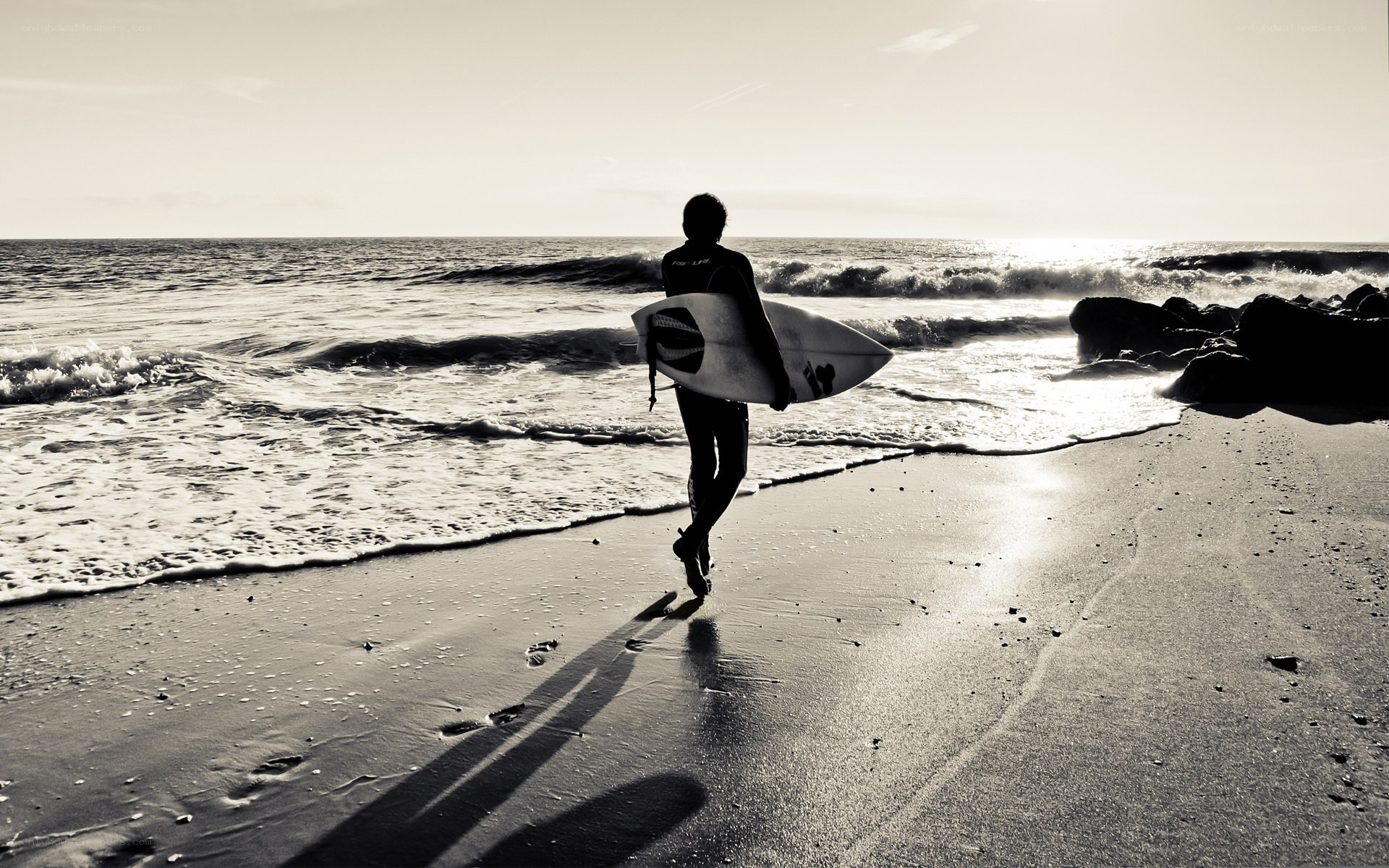 Surfer walking on beach