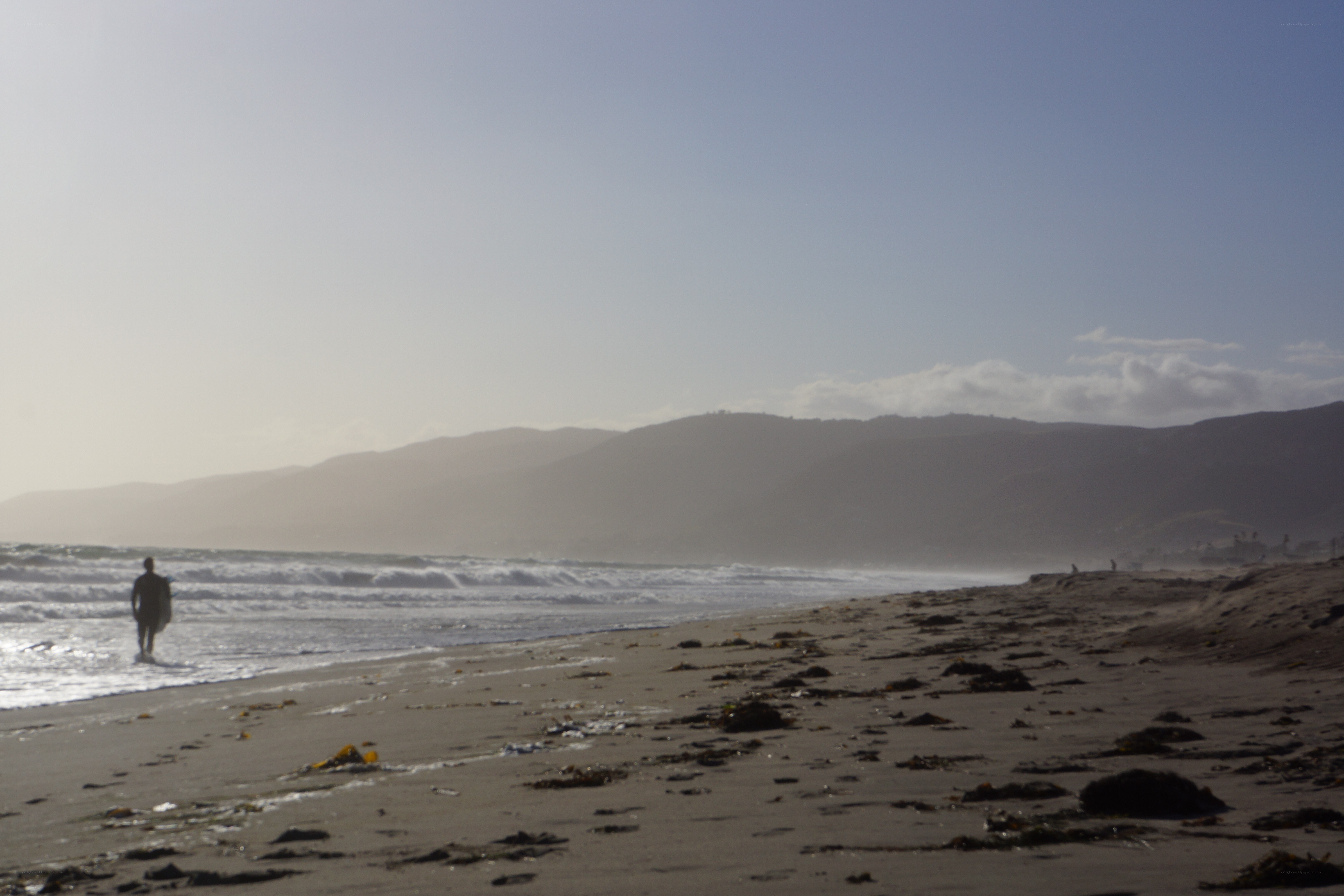 surfer walks along beach