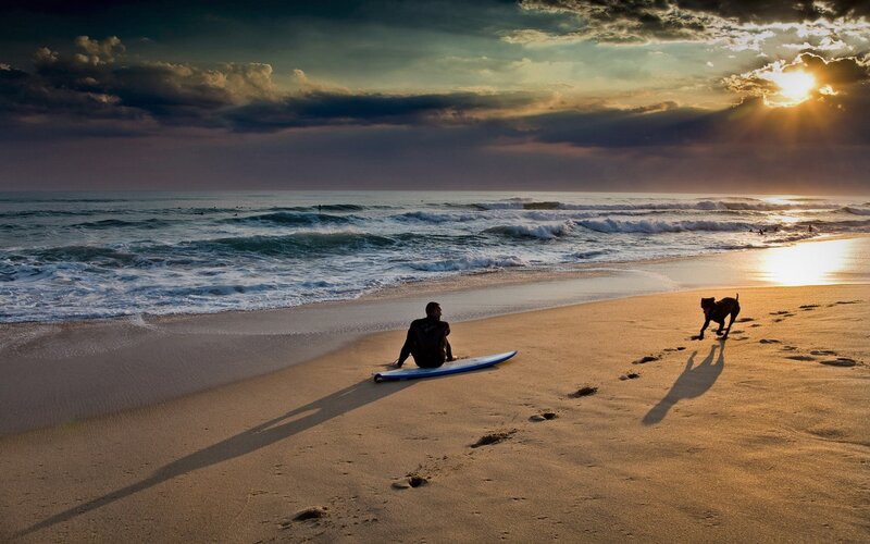 Surfer with Dog on Beach — Gold, Dramatic, Sunset, Photograph