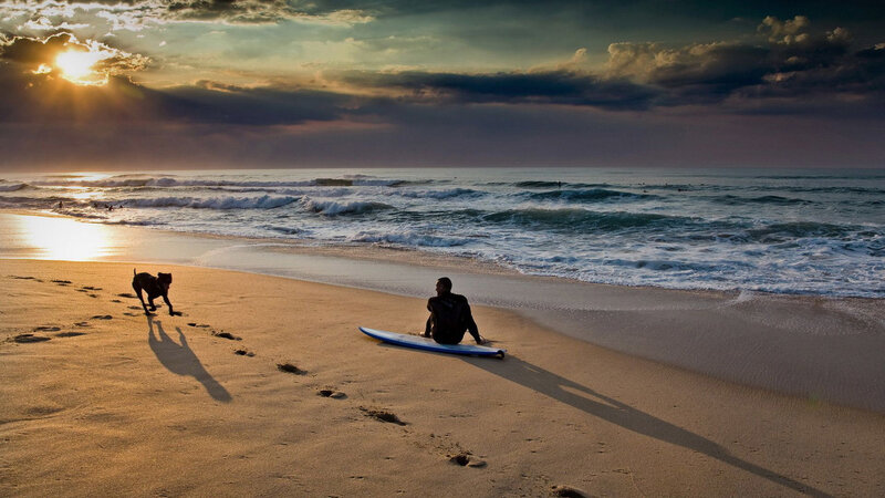 Surfer with Dog on Beach — Gold, Dramatic, Sunset