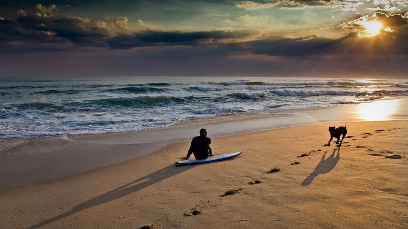 Surfer with Dog on Beach — Gold, Dramatic