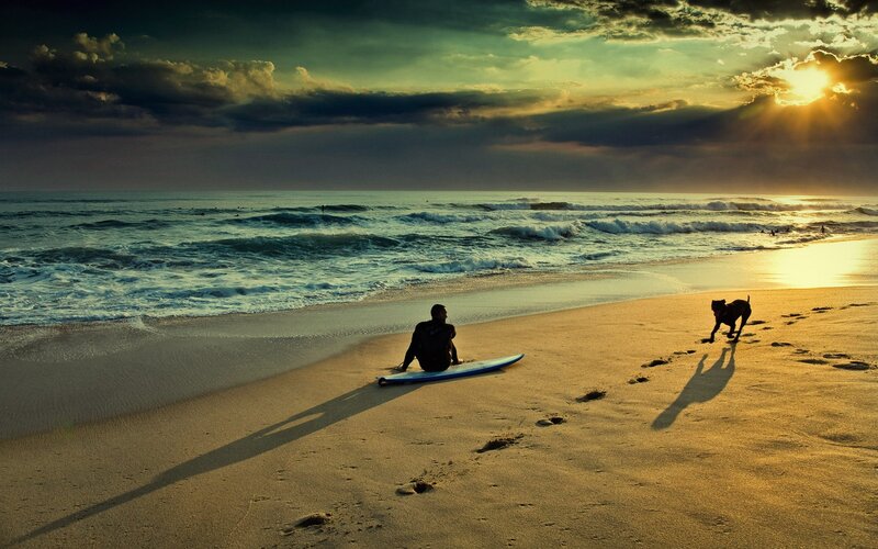 Surfer with Dog on Beach