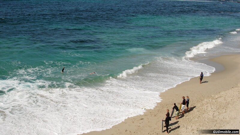 Surfers at Beach