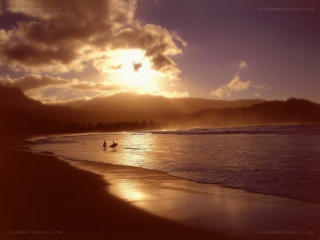 Surfers at sunset on a beach